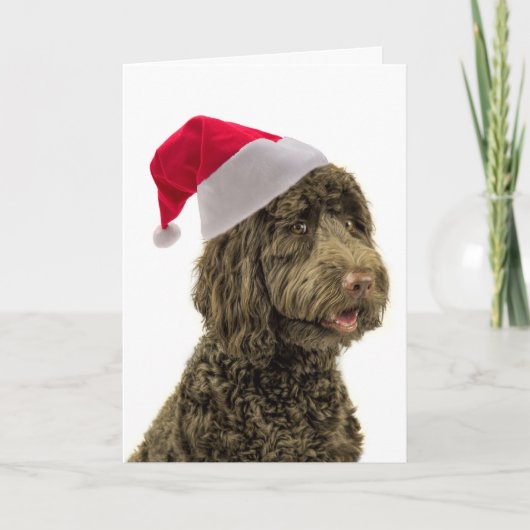 Santa Labradoodle Christmas Kaart (Voorkant)
