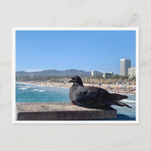 Santa Monica, CA Briefkaart (Voorkant)