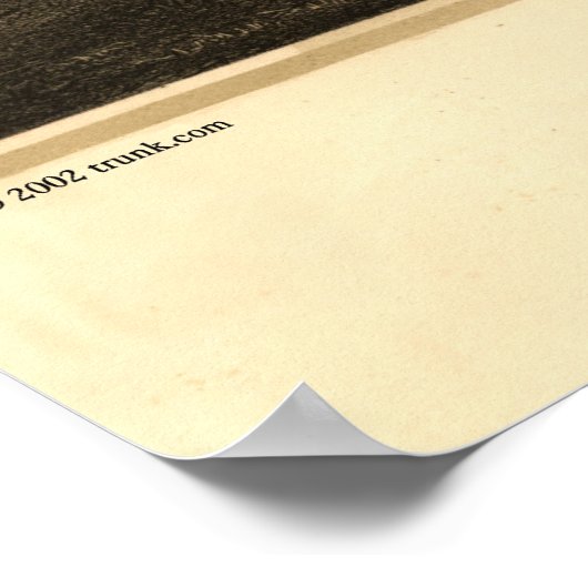 Santa Monica CA Panoramic Bird's Eye Uitzicht Poster (Hoek)