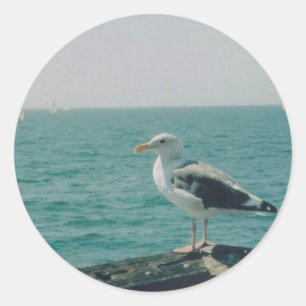 Santa Monica Seagull Ronde Sticker