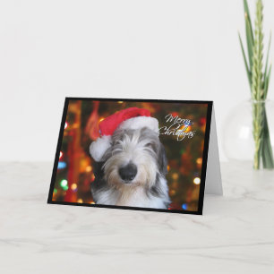 Santa Old English Sheepdog Christmas Kaart