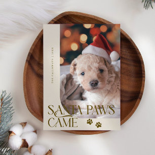 Santa Paws Came Hondenfoto Beige Kerstmis Feestdagenkaart