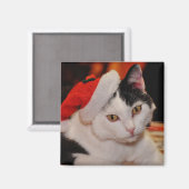 Santa Paws Cat Magneet (Voorkant / Achterkant)