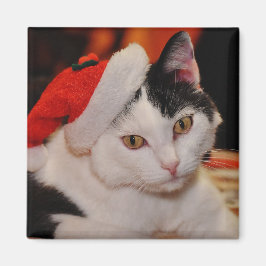 Santa Paws Cat Magneet