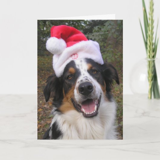 "Santa Paws" Feestdagen Kaart (Voorkant)