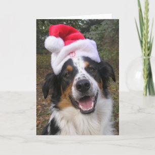 "Santa Paws" Feestdagen Kaart