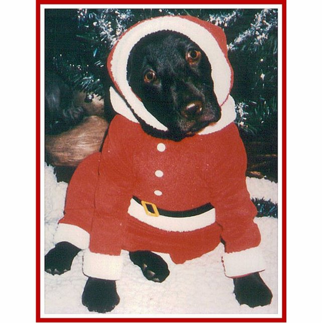 Santa Paws Fotobeeldje Ornament (Voorkant)