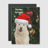 Santa Paws - Kristal the Husky Dog Kerstmis (Voorkant / Achterkant)