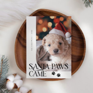 Santa Paws Kwam Hond Foto Witte Kerst Feestdagenkaart
