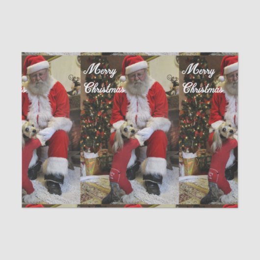 Santa Paws Tissuepapier (Voorkant)