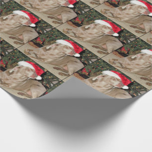 Santa Paws - Weimaraner Style - (1079) Cadeaupapier
