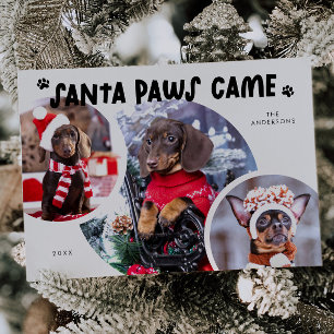 Santa Paws Witte Hond Foto Vakantie Kaart