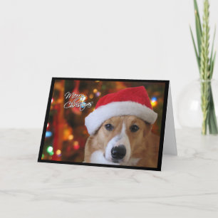 Santa Pembroke Welsh Corgi Christmas Kaart