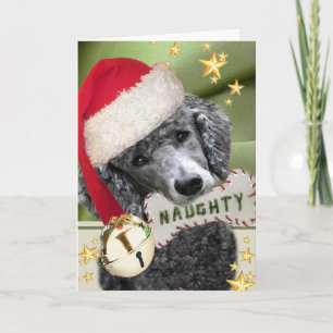 Santa poedel stoute of leuke Kaarten