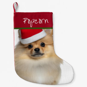 Santa Pommeren Kleine kerststop Kerstsok
