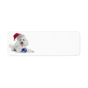 Santa Poodle retouradres/cadeau-labels Etiket