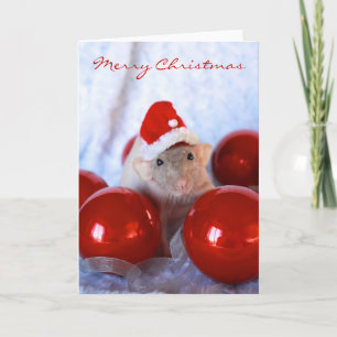 Santa Rattie Kaart