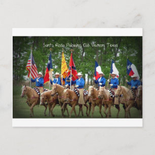 Santa Rosa Palomino Club Vernon, Texas Briefkaart
