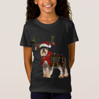 Santa Schnauzer rendieren Licht Kerstmis