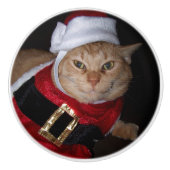 Santa Sinaasappel Tabby Kat Knop (Voorkant)