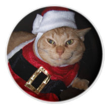 Santa Sinaasappel Tabby Kat Knop