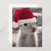 Santa Squirrel Briefkaart (Voorkant / Achterkant)