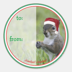 Santa Squirrel komt naar de stad voor Kerstmis Ronde Sticker
