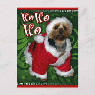 Santa Yorkie Briefkaart