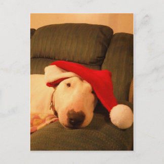 santapet van merraKerstmis Feestdagenkaart