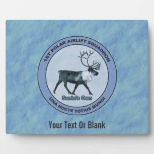 Santa's 1e Poolse Luchttransport Squadron - Gedemp Fotoplaat