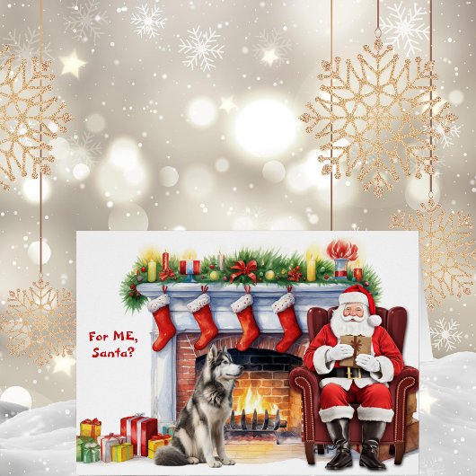 Santa's Gift Alaskan Malamute Hondenvakantie