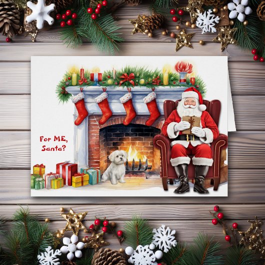 Santa's Gift Maltese hondenvakantie