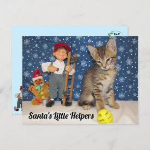 Santa's Kleine Helpers - Kat & Elf Briefkaart
