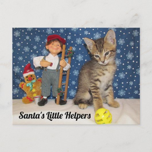 Santa's Kleine Helpers - Kat & Elf Briefkaart (Voorkant)
