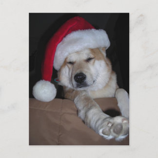 Santa's Little Shiba-Inu Helper Feestdagenkaart