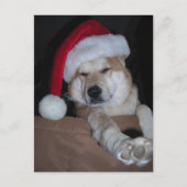Santa's Little Shiba-Inu Helper Feestdagenkaart (Voorkant)