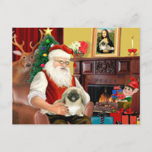 Santa's Pekingese Feestdagenkaart