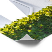 Santorini, griekenland poster (Hoek)