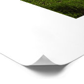 Santorini Island, Griekenland Poster (Hoek)