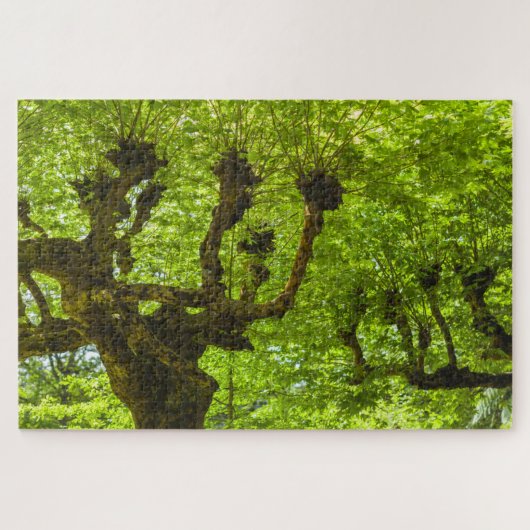 Sao Miguel-eiland Legpuzzel (Horizontaal)
