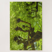 Sao Miguel-eiland Legpuzzel (Verticaal)