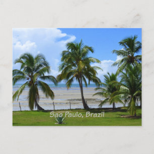 Sao Paulo, Brazilië palmbomen Briefkaart