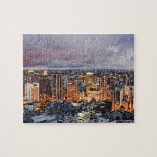 Sao Paulo Cityscape Legpuzzel