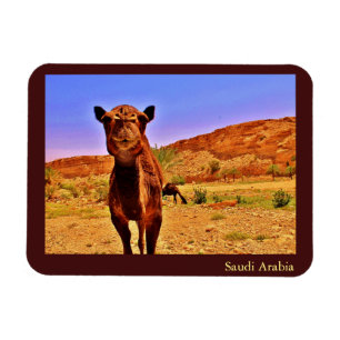 Saoedi-Arabië Magneet
