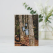 Sap Buckets Briefkaart (Staand voorkant)