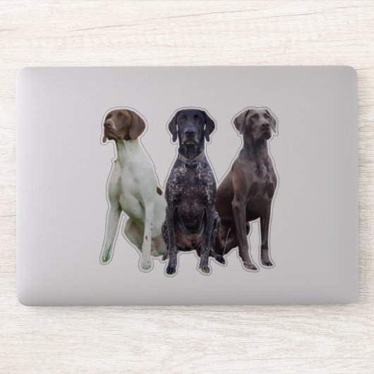 (SAP) Deutsch Kurzhaar Sticker (Computer)