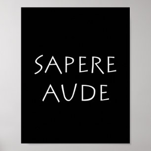 Sapere aude poster