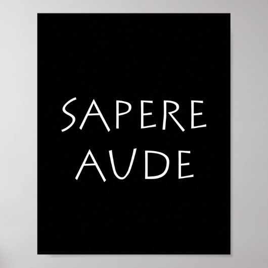 Sapere aude poster (Voorkant)