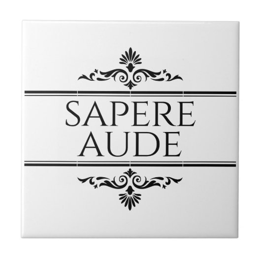 Sapere Aude Tegeltje (Voorkant)