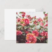 Saphir Or | Carte Carrée Plate avec Enveloppe (Devant / Derrière)